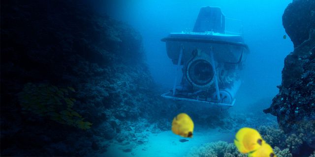 Submarine underwater trip (12)